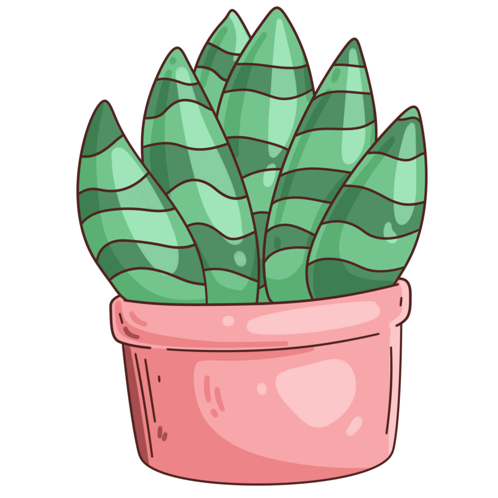 mignonne dessin animé jardinage cactus plante mis en pot dessin illustration png