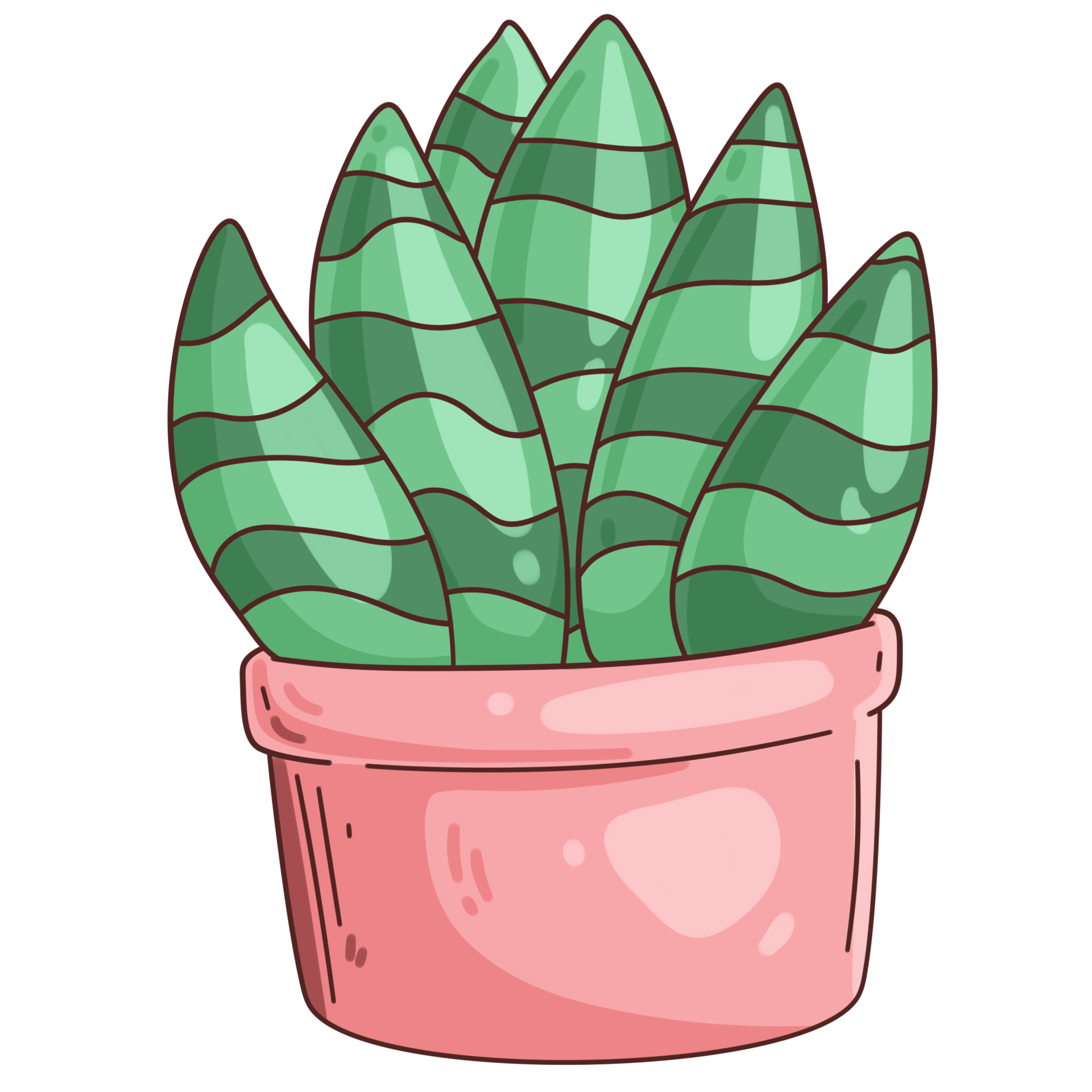 Potted Cactus PNG Images, Drawing Plant, Hand Painted Flowers