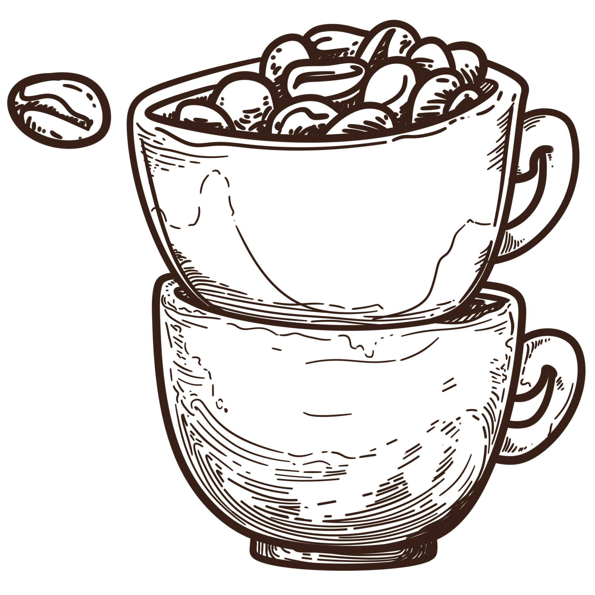 https://static.vecteezy.com/system/resources/previews/023/985/142/original/coffee-cups-and-coffee-beans-ink-illustration-isolated-free-png.png