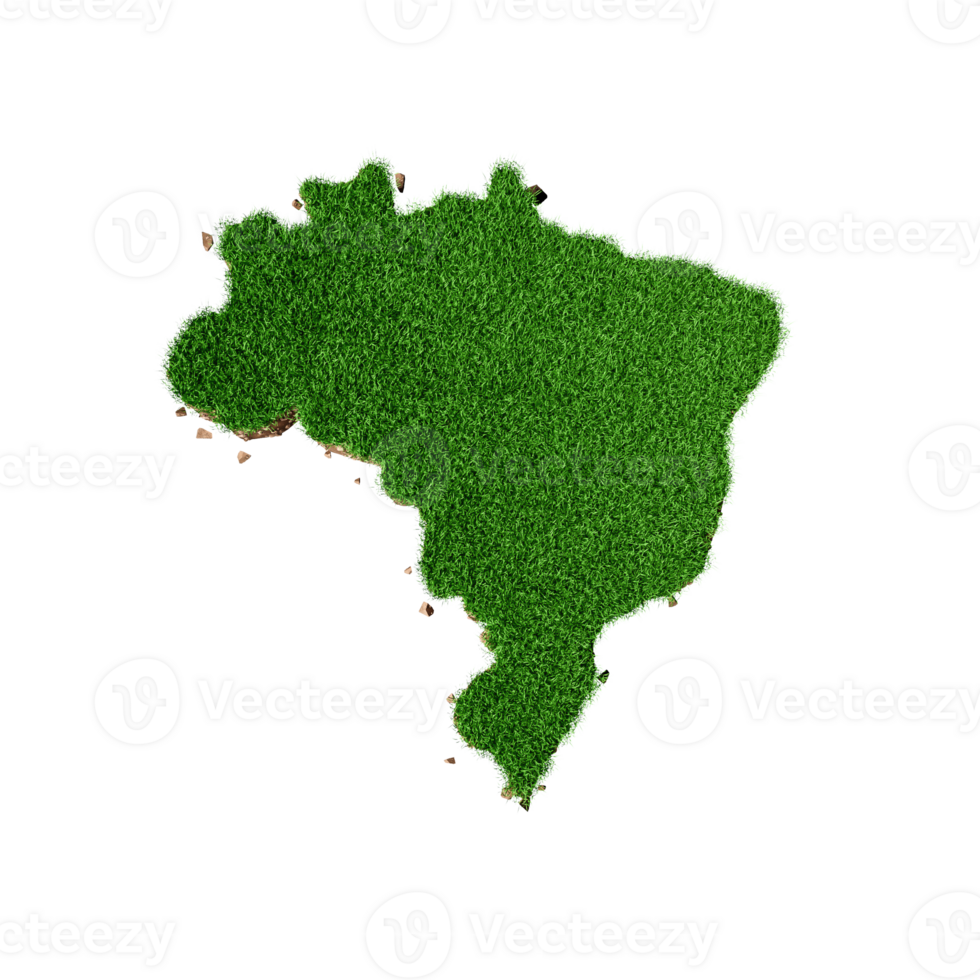 Top View Brazil Map Grass and ground texture 3d illustration png