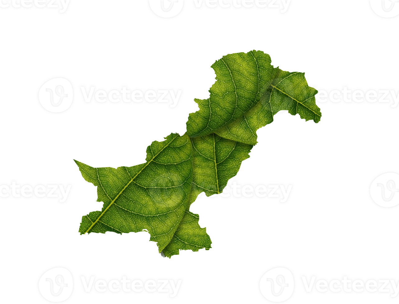 pakistan Karta tillverkad av grön löv, begrepp ekologi Karta grön blad png