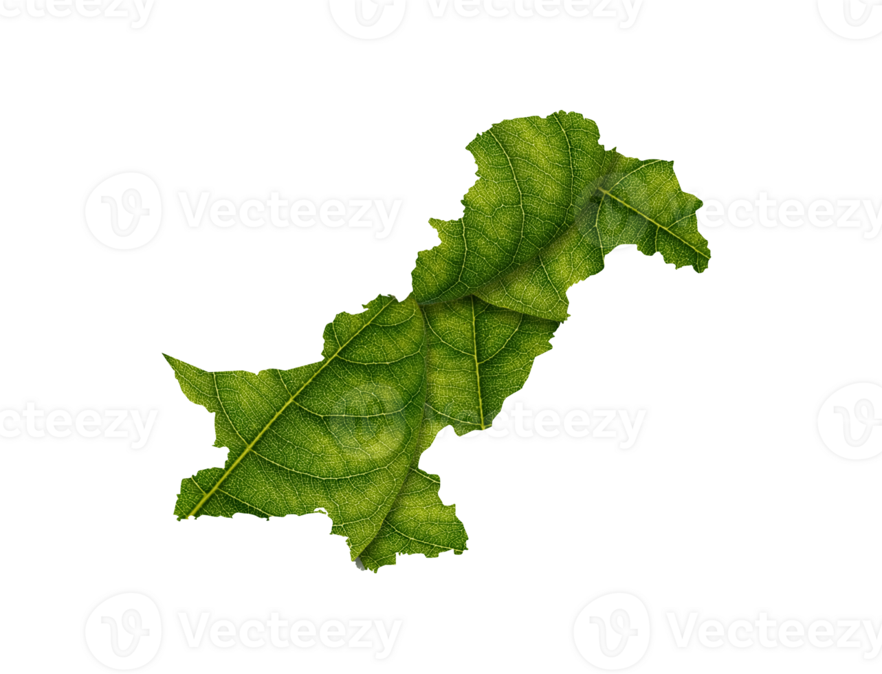 Pakistan map made of green leaves, concept ecology Map green leaf png