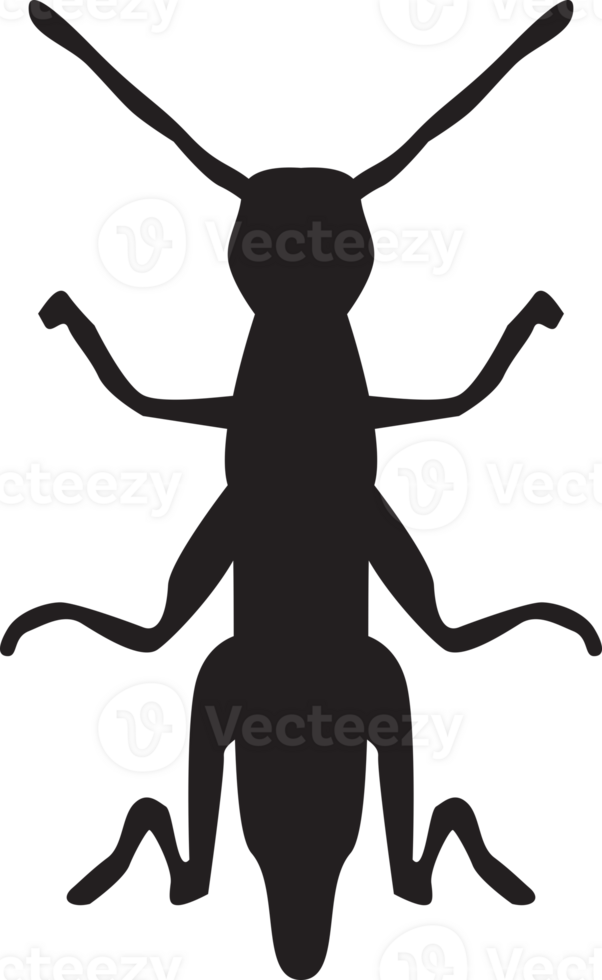 bug isolated silhouette png