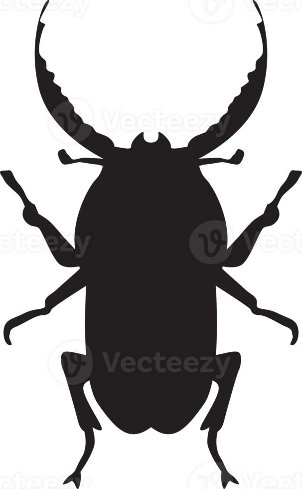 bug isolated silhouette png