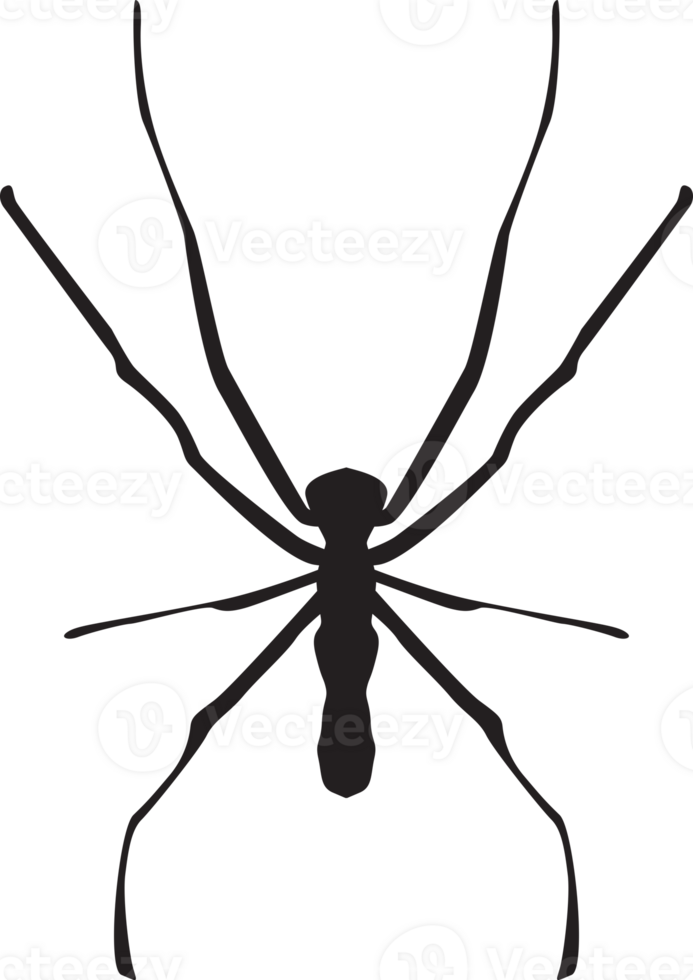 insetto isolato silhouette png