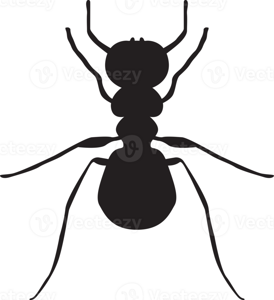 bug isolated silhouette png