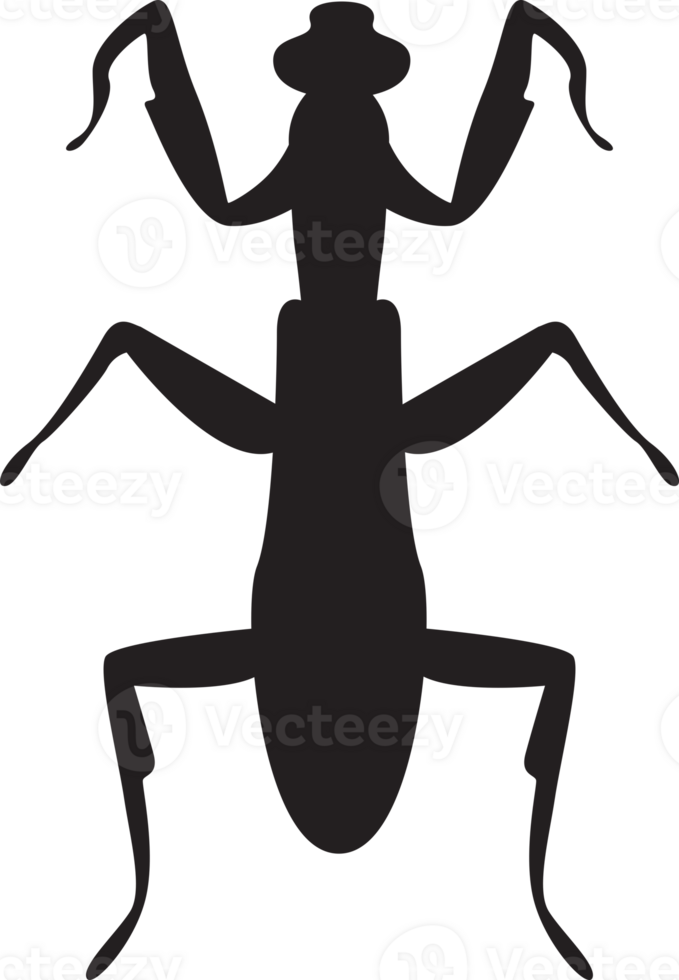 bug isolated silhouette png