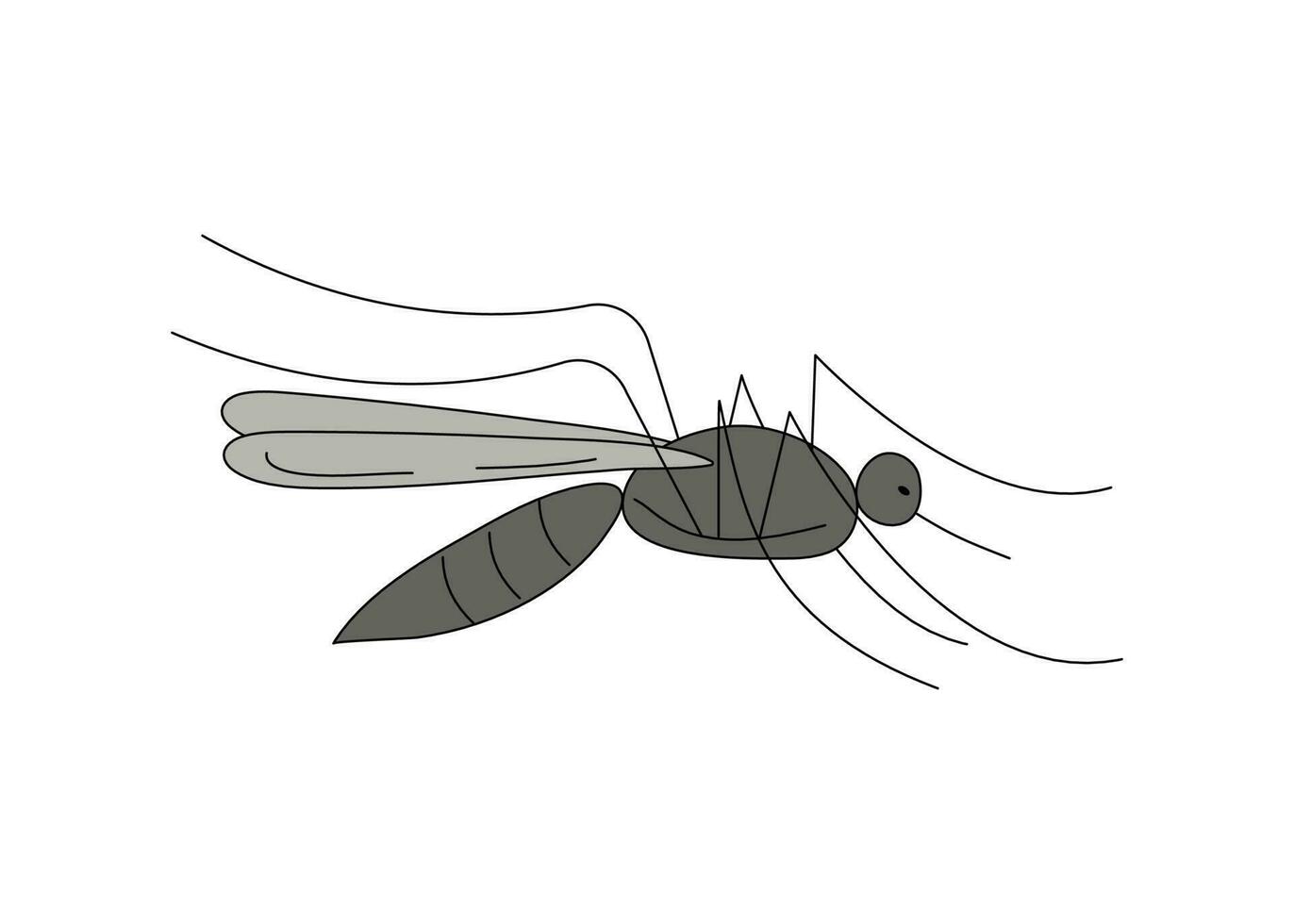 Mosquito. Insect. The concept of malaria control. Mosquito bite.  Doodle drawing. Vector illustration.