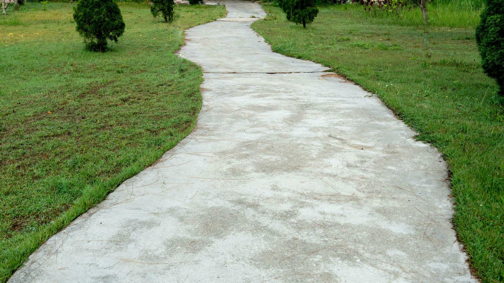 caminando camino de un hormigón la carretera con césped creciente en ambos lados jardín con arboles foto