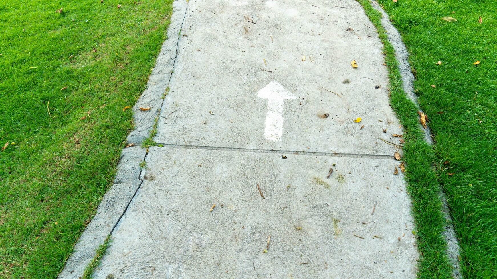 Concrete walking path. There was a white arrow line going forward. Lush green grass grew on both sides. photo