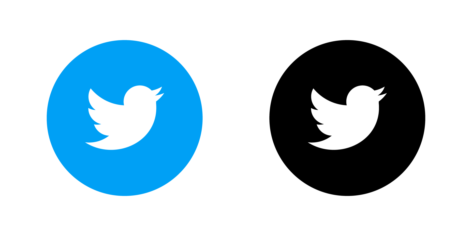 Twitter logo png, Twitter logo transparent png, Twitter icon transparent free png