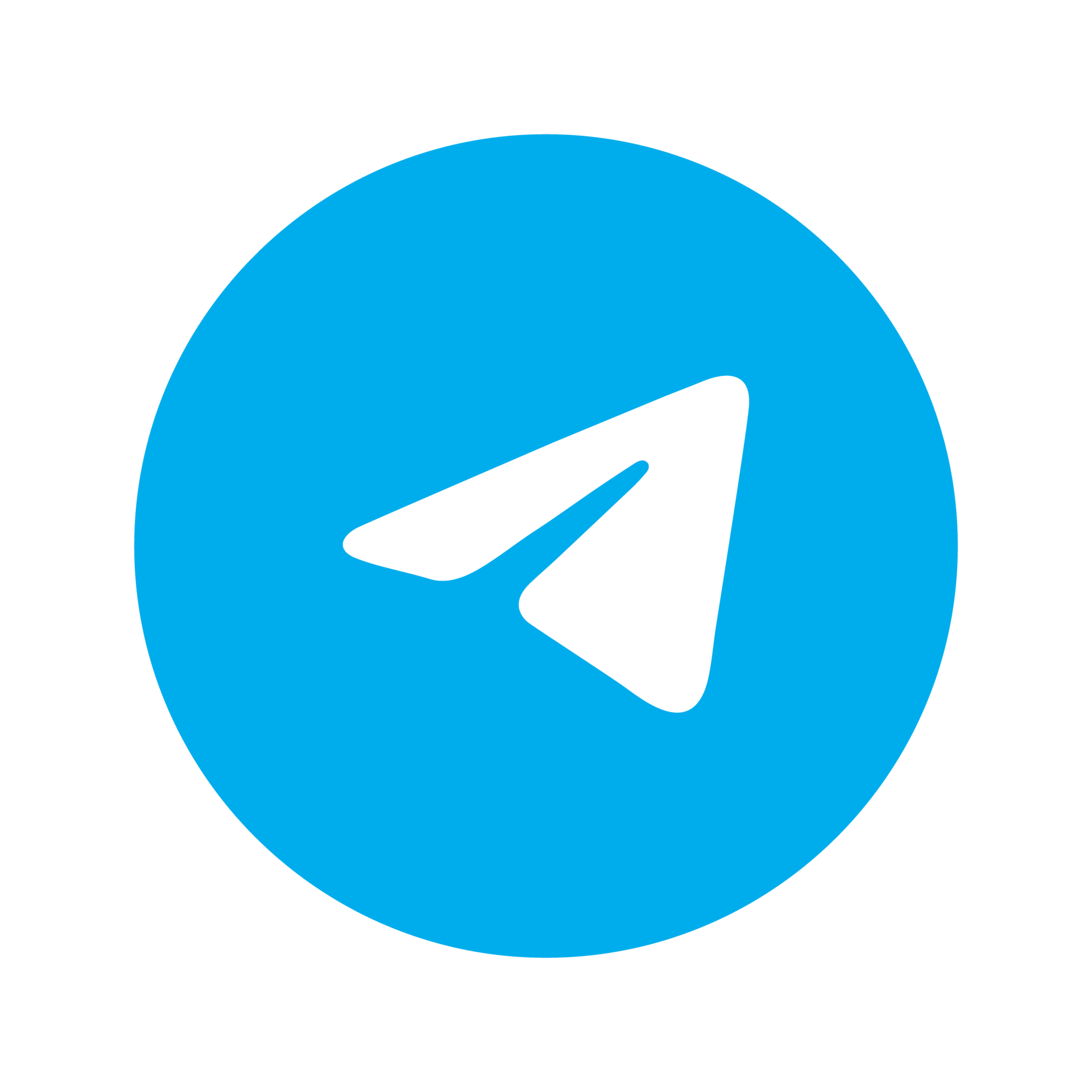 https://static.vecteezy.com/system/resources/previews/023/986/562/original/telegram-logo-telegram-logo-transparent-telegram-icon-transparent-free-free-png.png