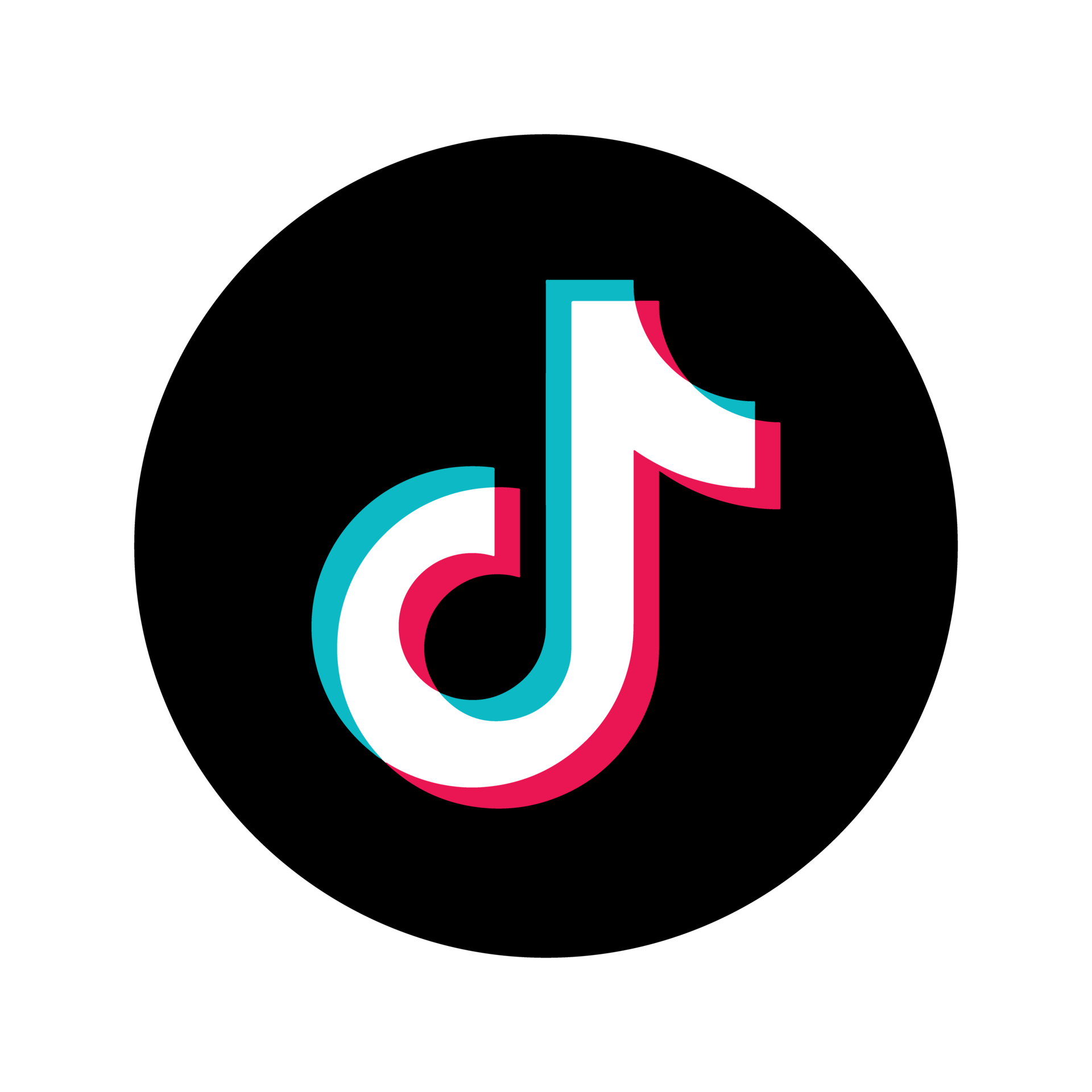 Tiktok Link