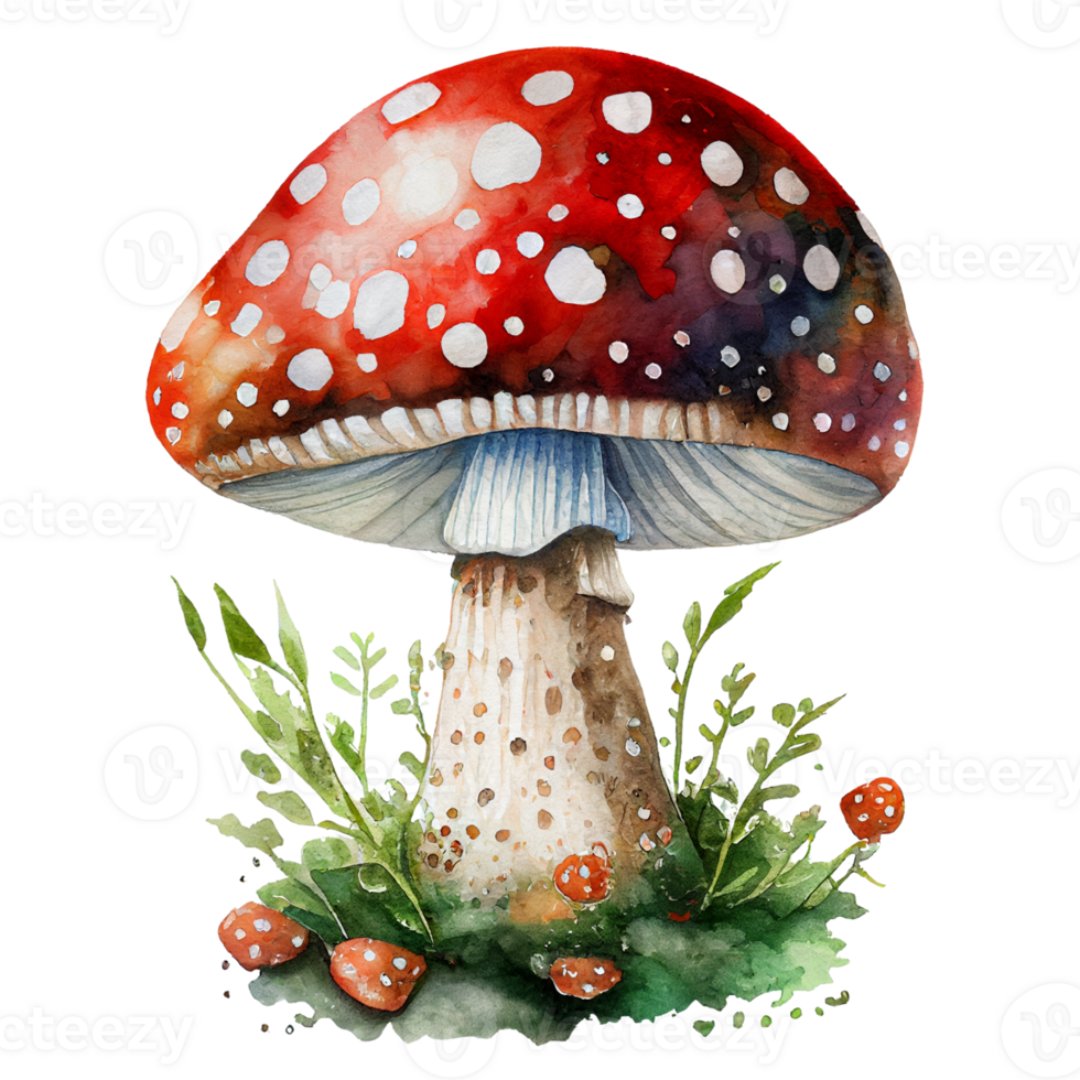 Watercolor Toadstool Mushroom Clipart Sublimation png