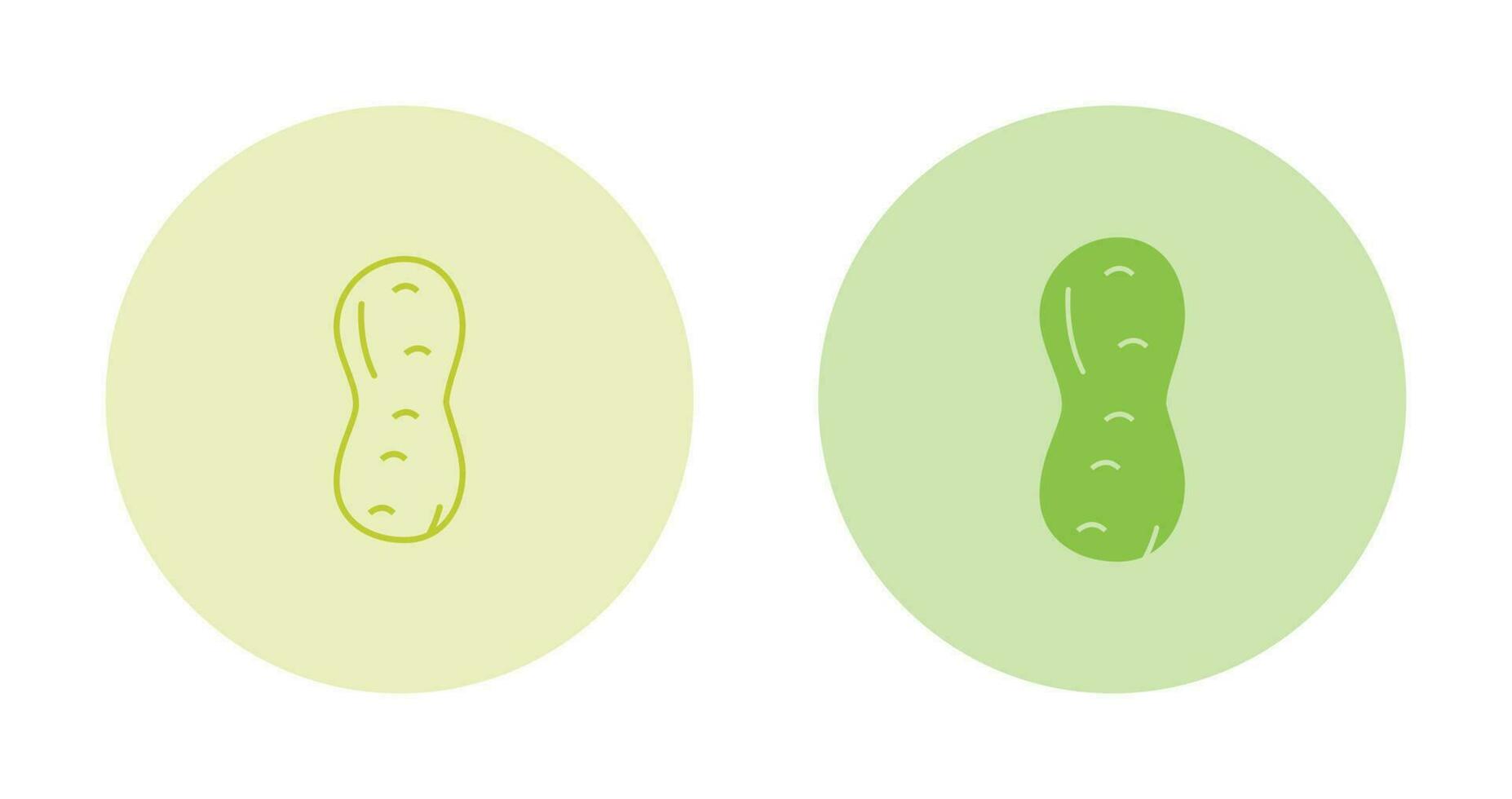 Peanut Vector Icon