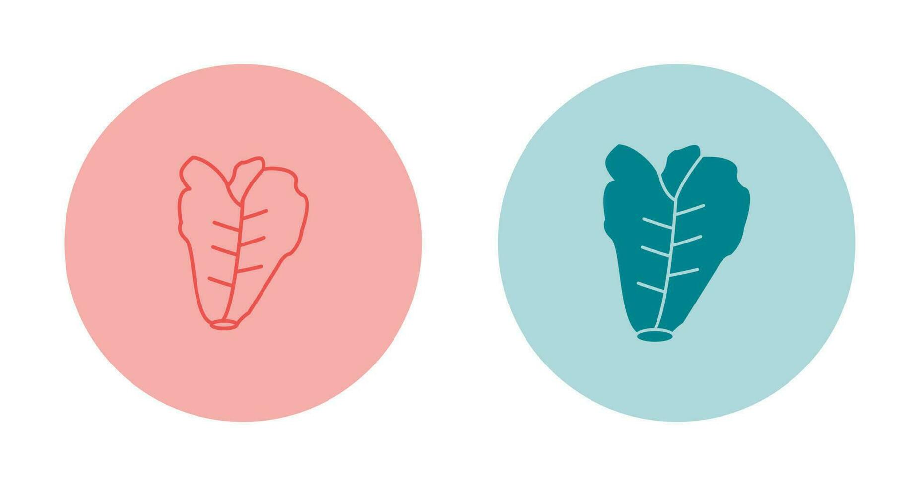 Lettuce Vector Icon