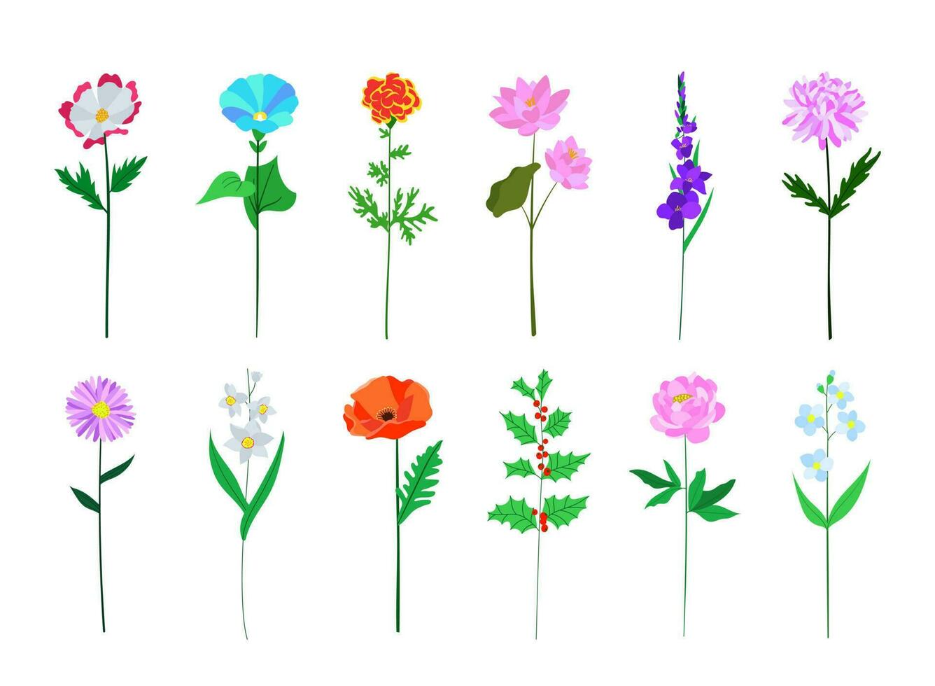 Realistic colorful flat flower set. Perfect for illustrations and biology education. vector