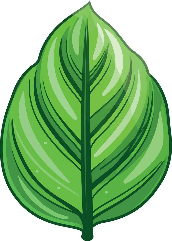 Cartoon Green Leaf vector