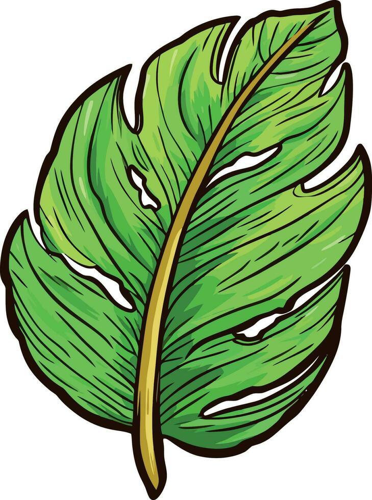 Cartoon Green Leaf vector