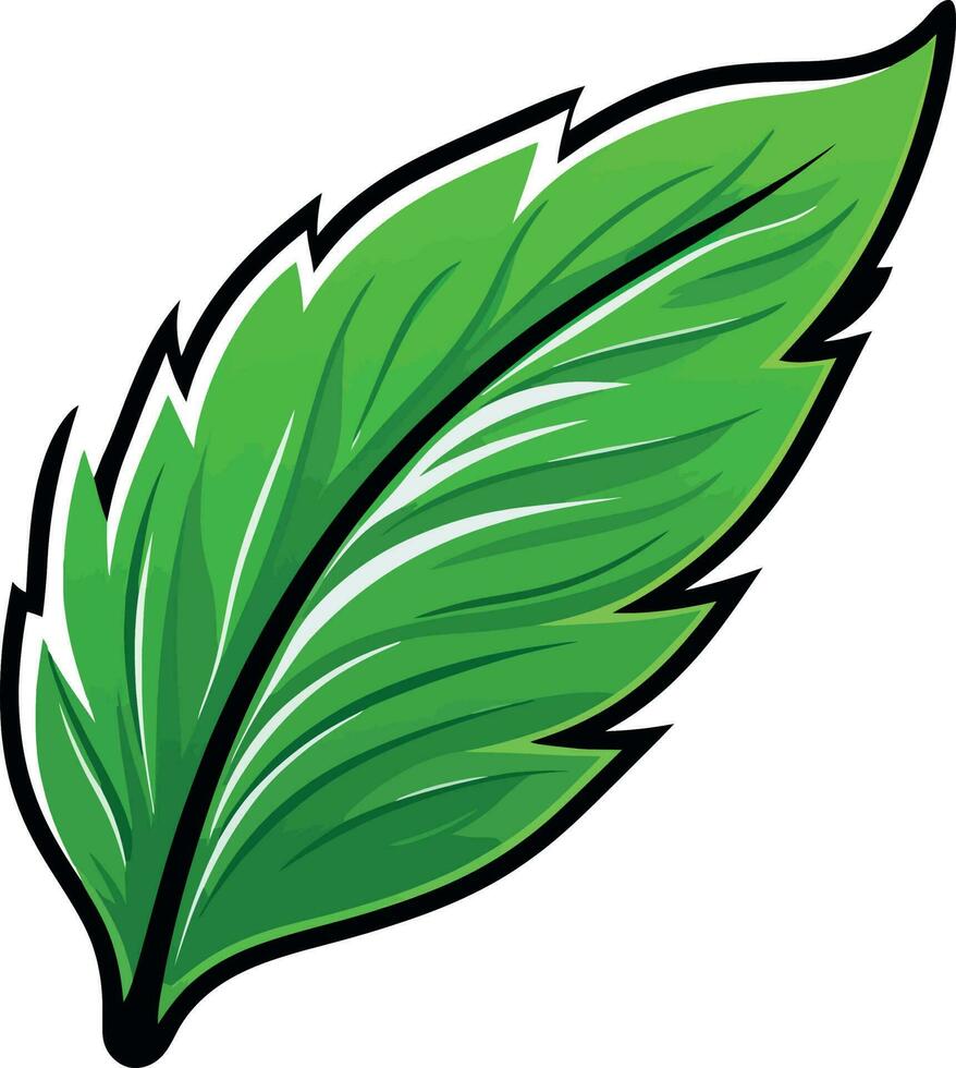 Cartoon Green Leaf vector