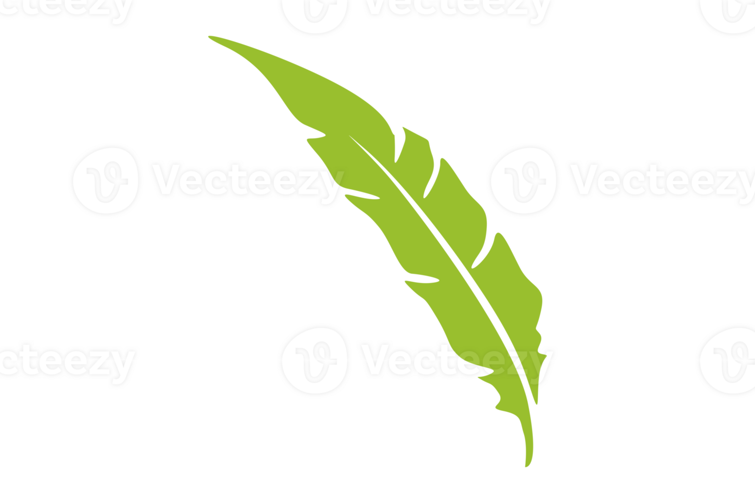 Green Bird Feathers Ornament With Transparent Background png