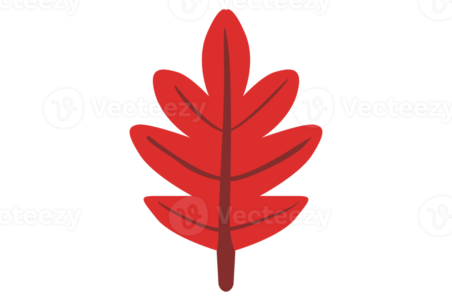 Autumn Leaf With Transparent Background png