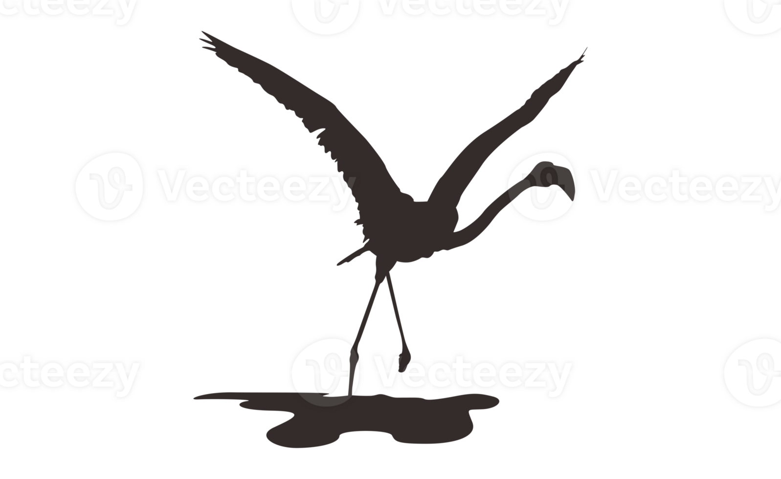 Flamingo Bird Silhouette On Transparent Background png