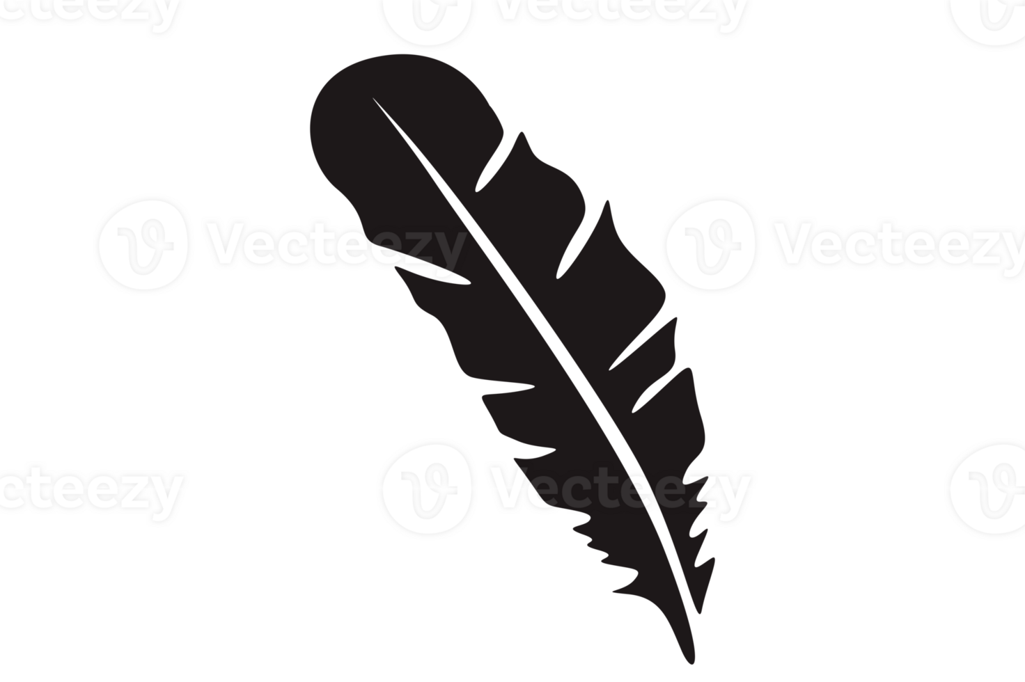 Black Bird Feathers Ornament With Transparent Background png
