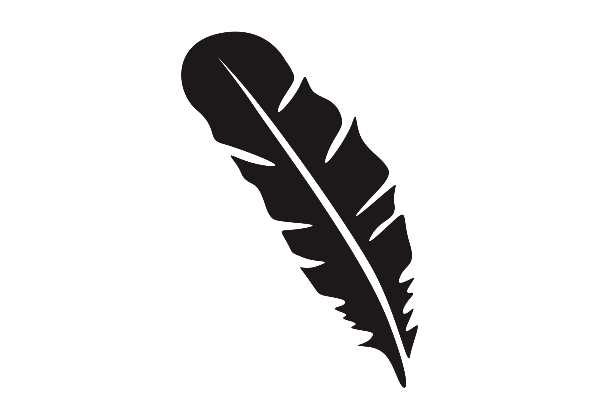 Black Feather Transparent Images