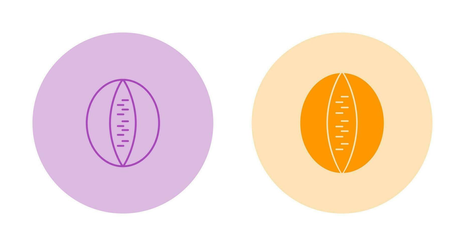 Rockmelon Vector Icon