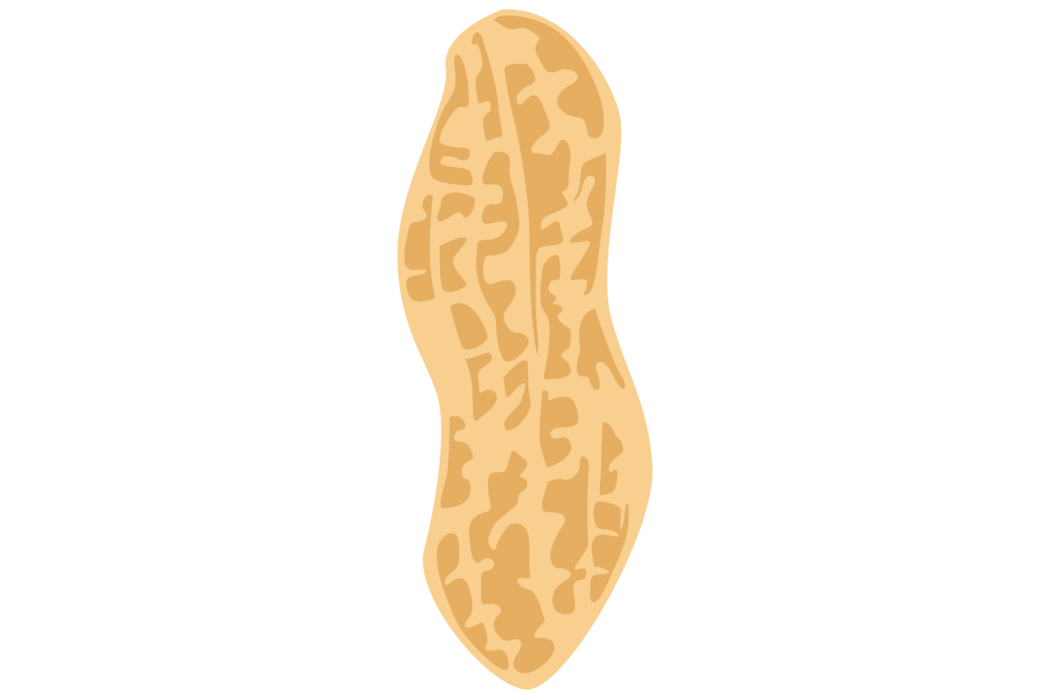 Peanut Logo Icon On Transparent Background png