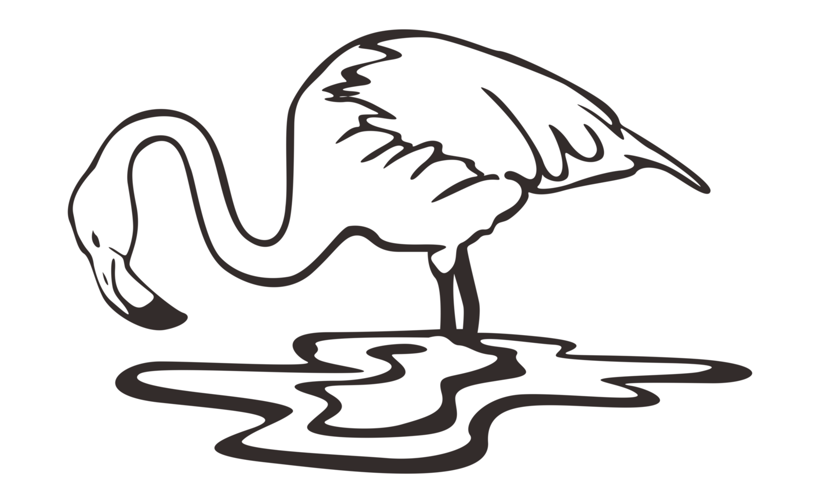 Flamingo Bird Line Art On Transparent Background png