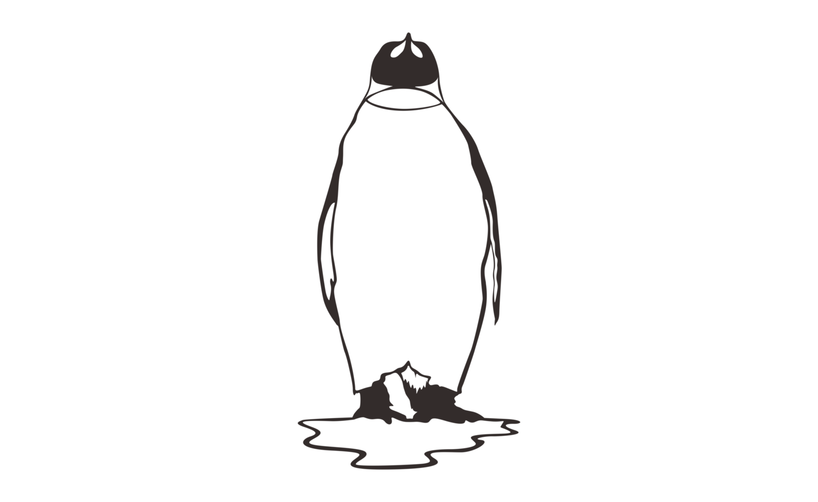 Penguin Line Art on a transparent background png