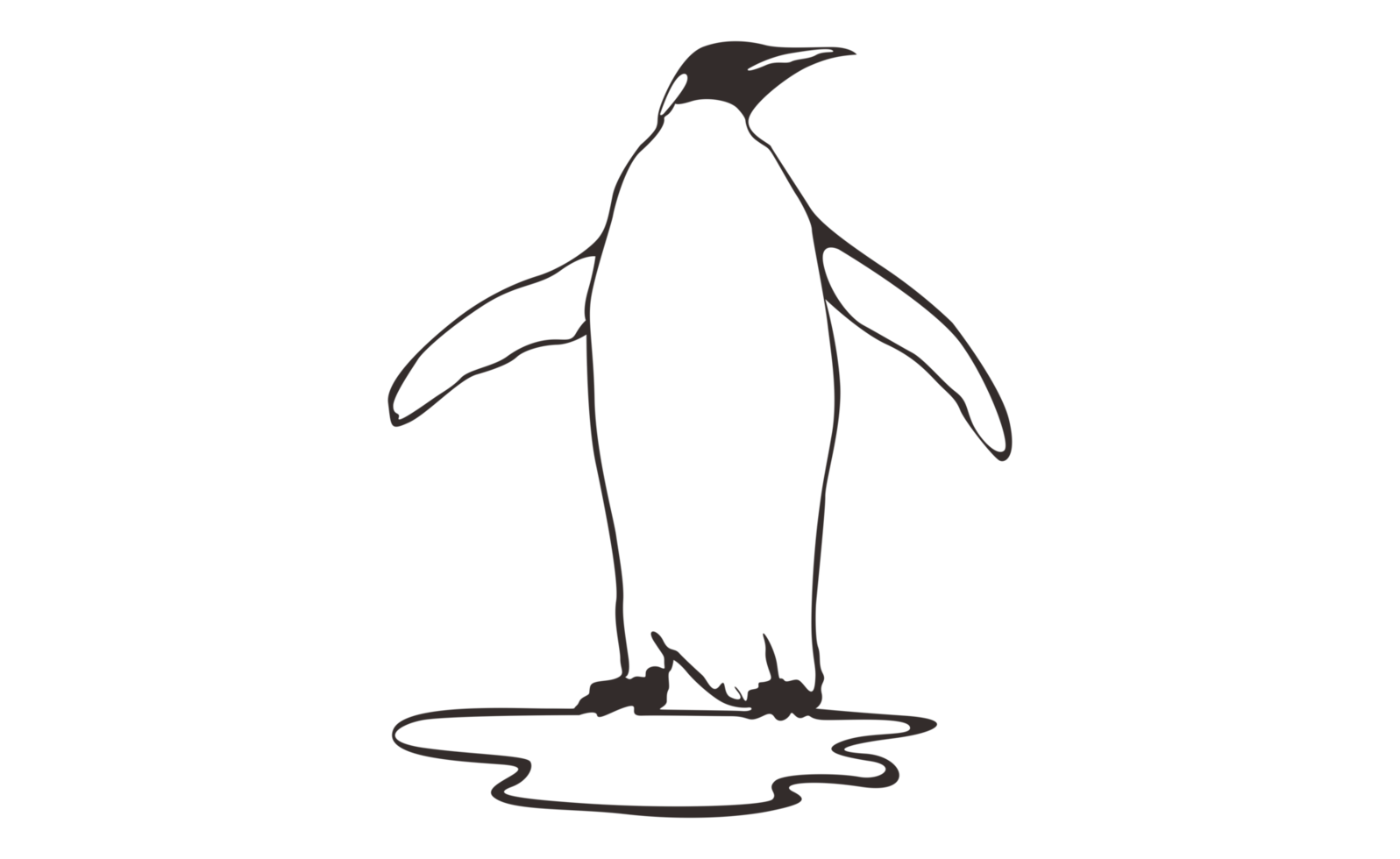 Penguin Line Art on a transparent background png