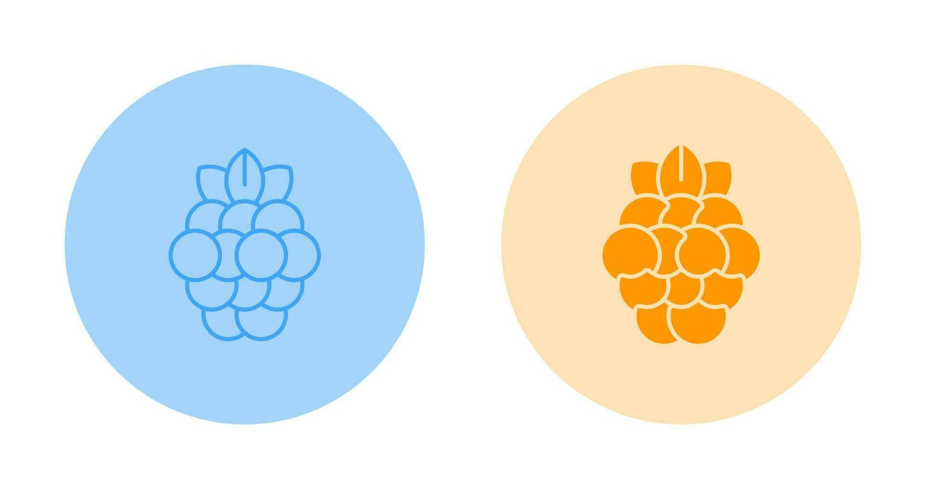 Raspberry Vector Icon