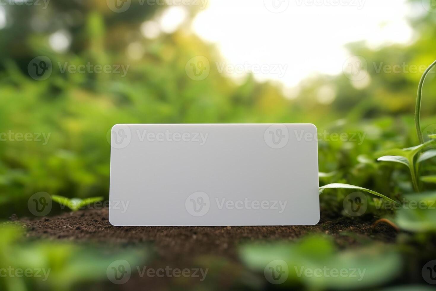 blank business card mock up with nature with photo