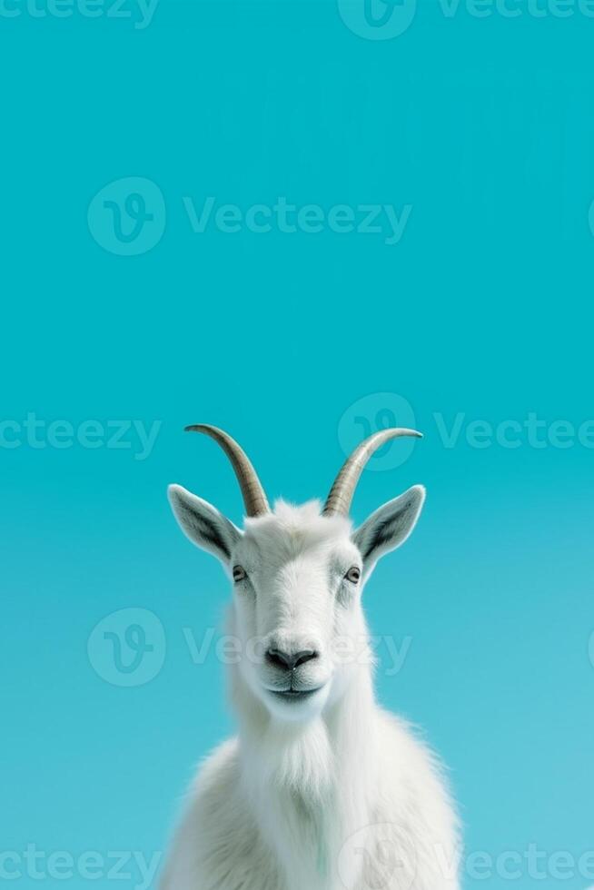 A potrait of cute animal goat with large empty background photo