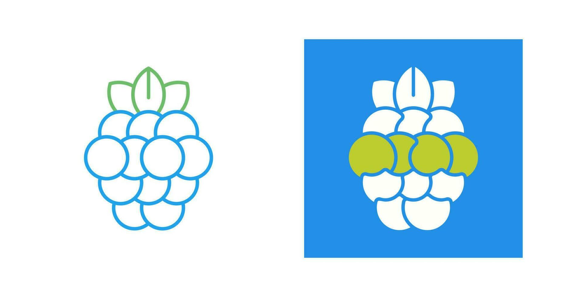 Raspberry Vector Icon