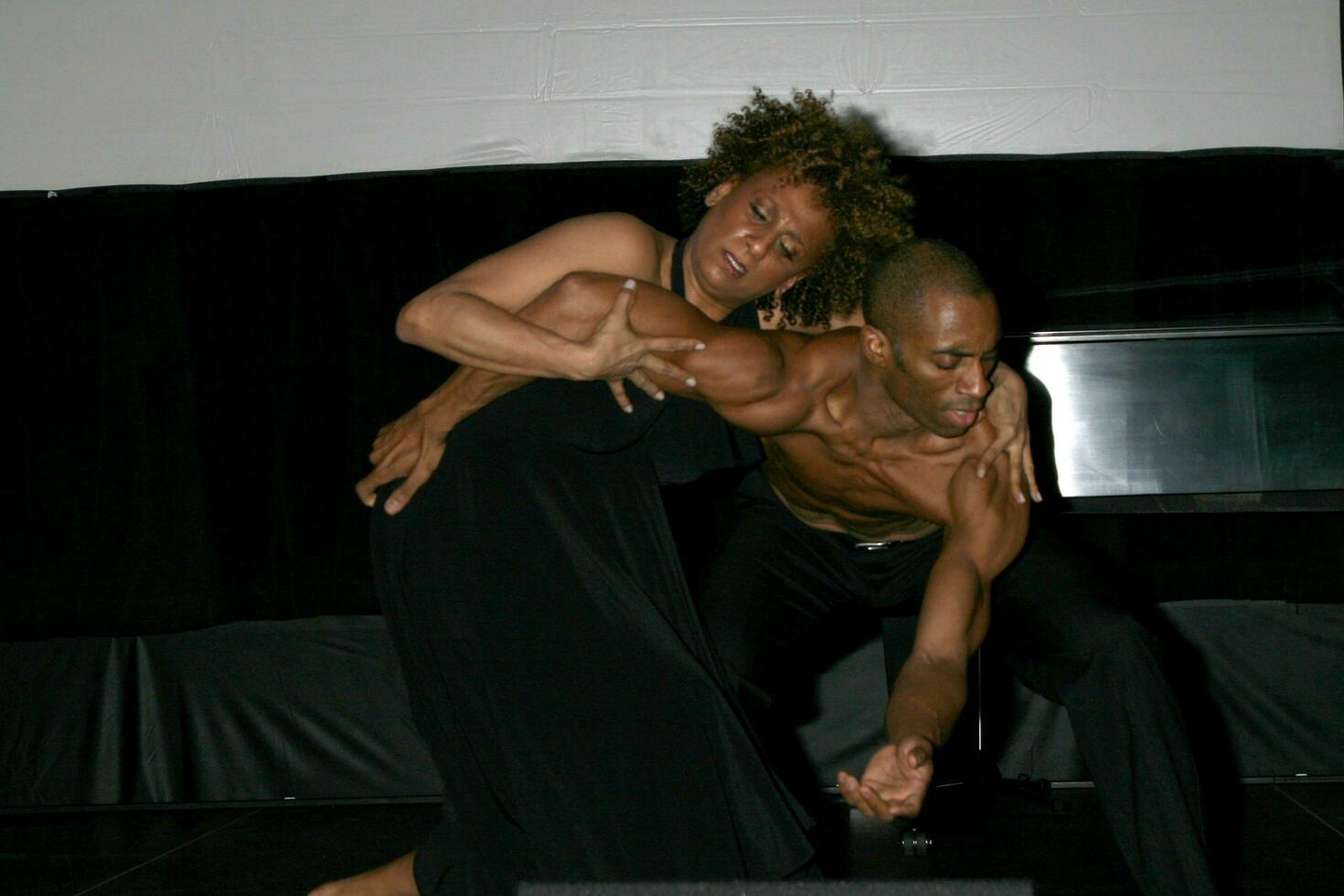 The Black AIDS Institute Gala Disney Concert Hall Los Angeles CA February 7 2008 2008 Kathy Hutchins Hutchins Photo