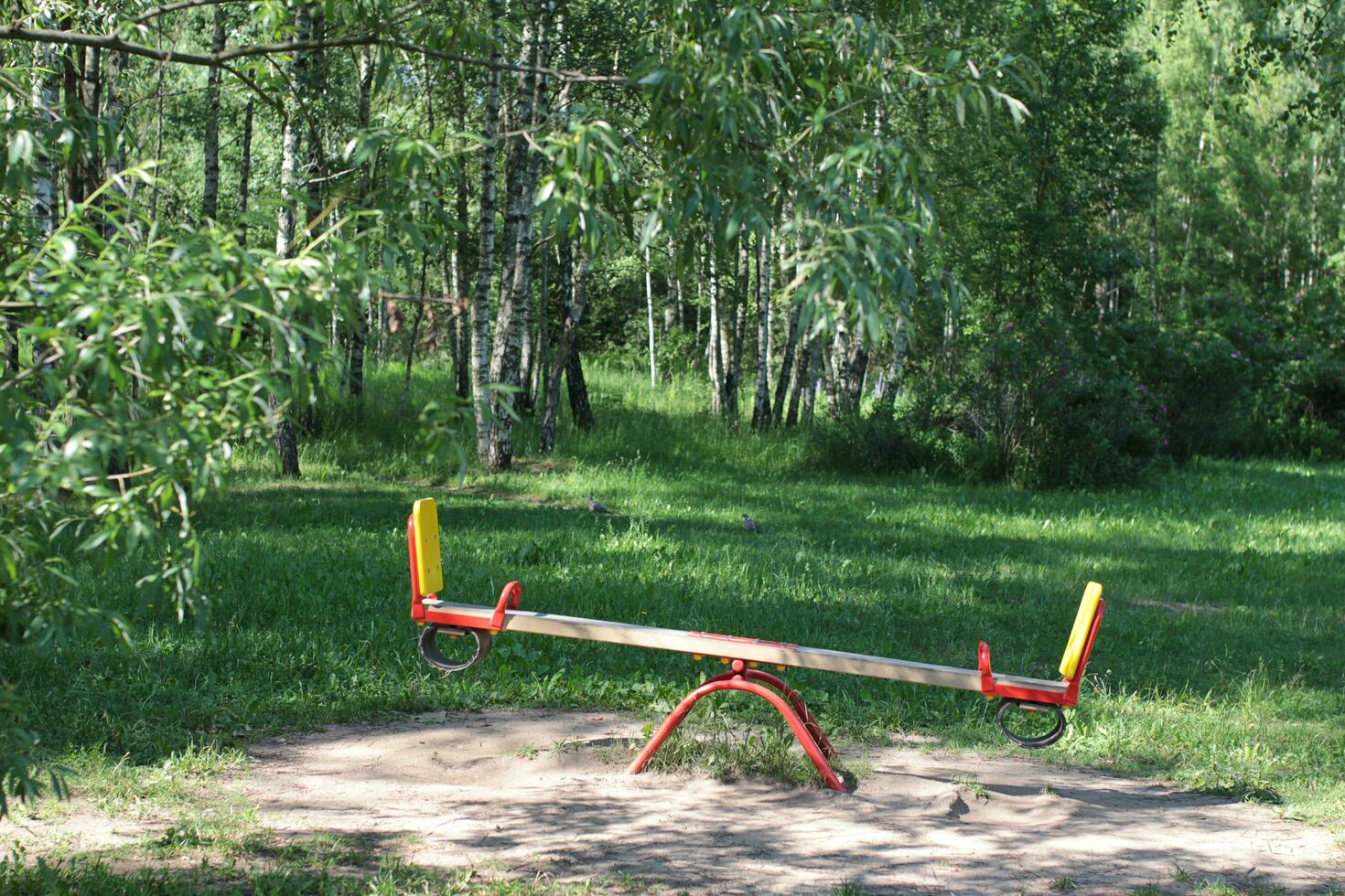 Swings on the playground. In the background are birches. Summer in the city photo