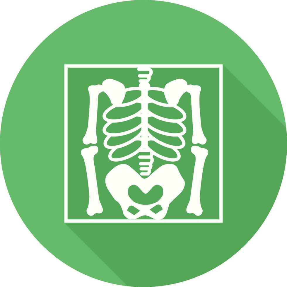 Skeleton Vector Icon