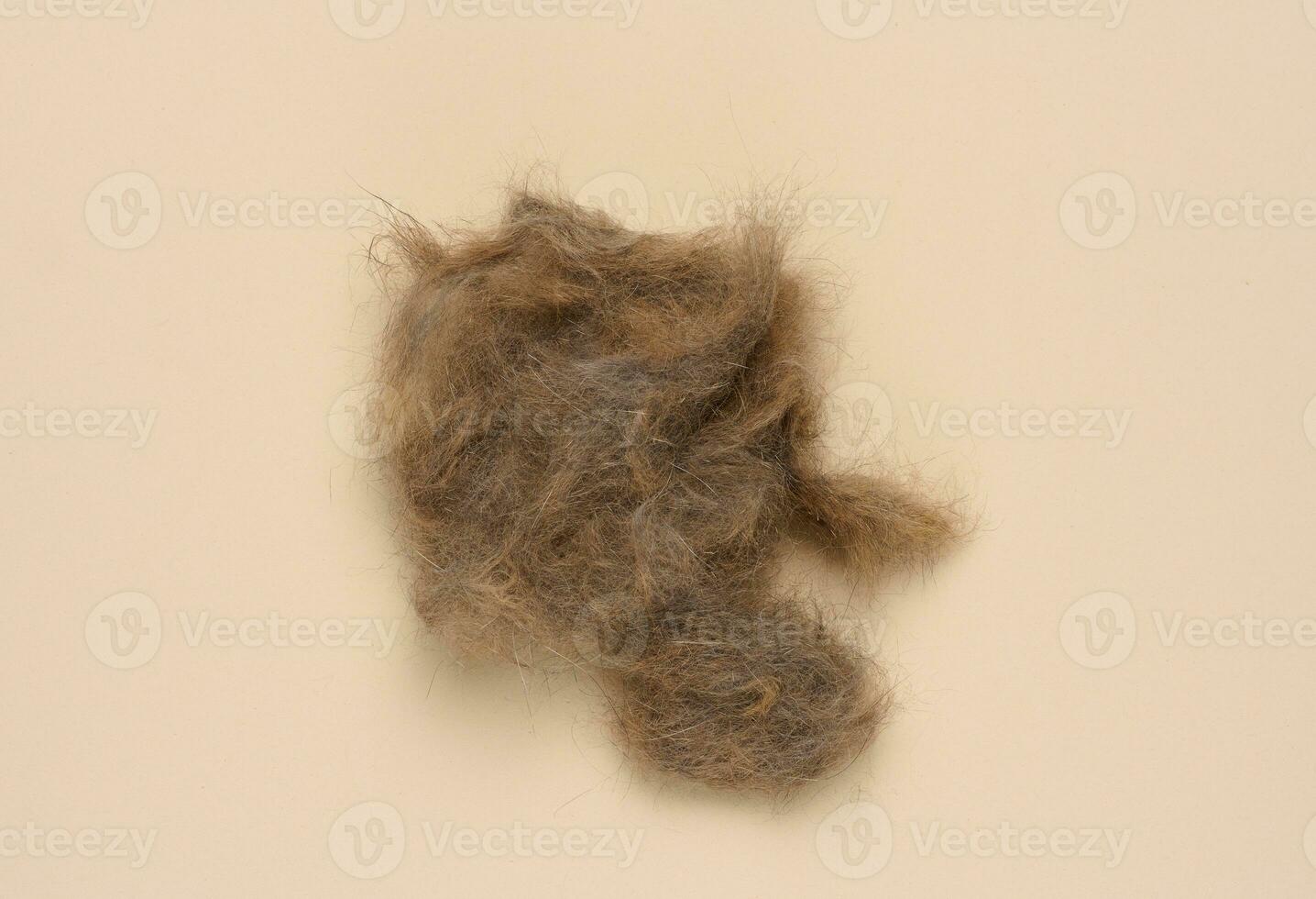 A tuft of combed gray cat hair on a beige background, top view photo