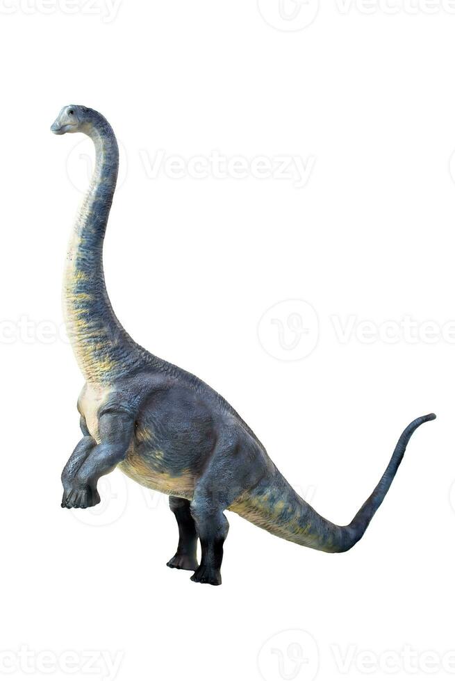 dinosaur , Brontosaurus isolated background photo