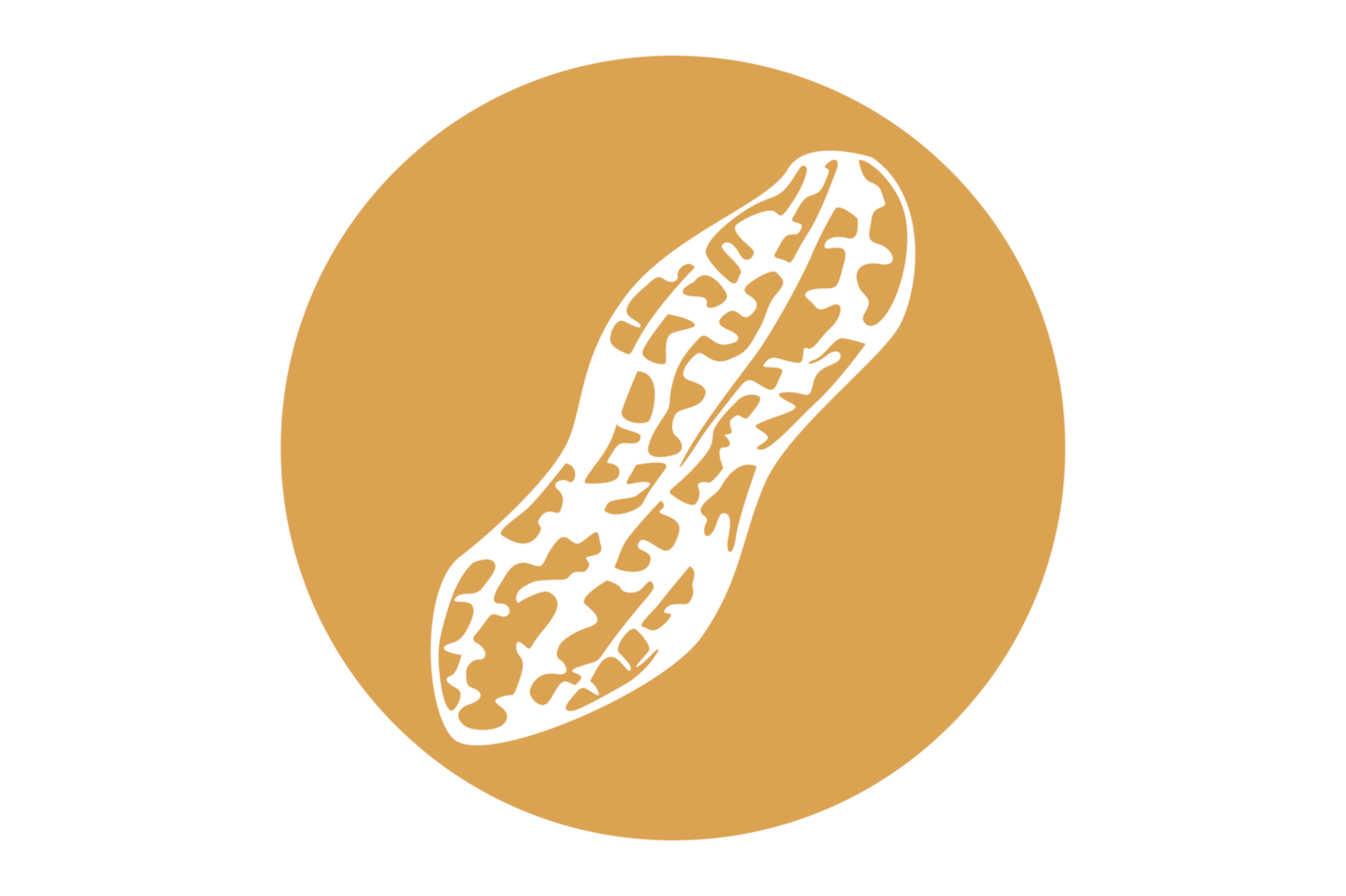 Peanut Icon On Transparent Background png