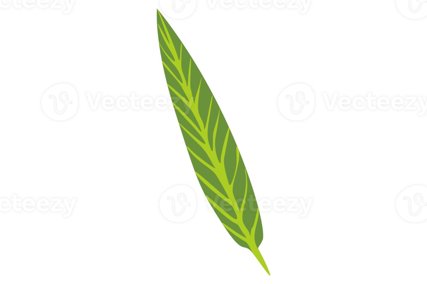 Simple Botany Green Leaf With Transparent Background png
