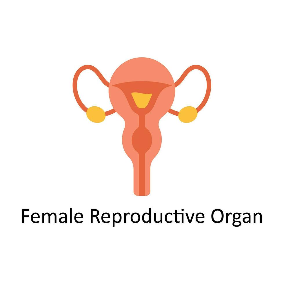 hembra reproductivo Organo vector plano icono diseño ilustración. médico y cuidado de la salud símbolo en blanco antecedentes eps 10 archivo