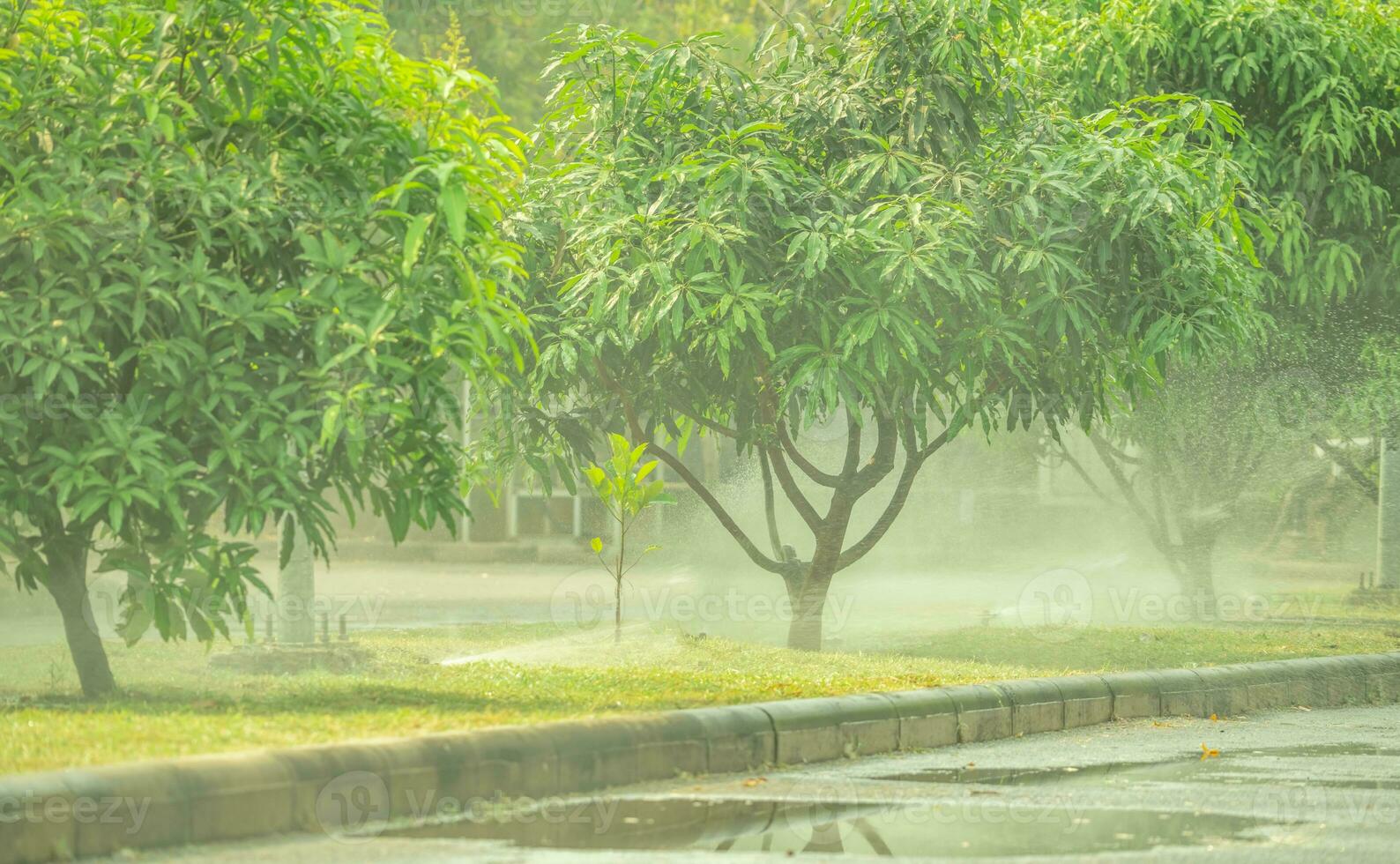 Automatic lawn sprinkler watering green grass on sunny summer days. Sprinkler with automatic system. Garden irrigation system watering lawn. Sprinkler service and maintenance. World environment day. photo