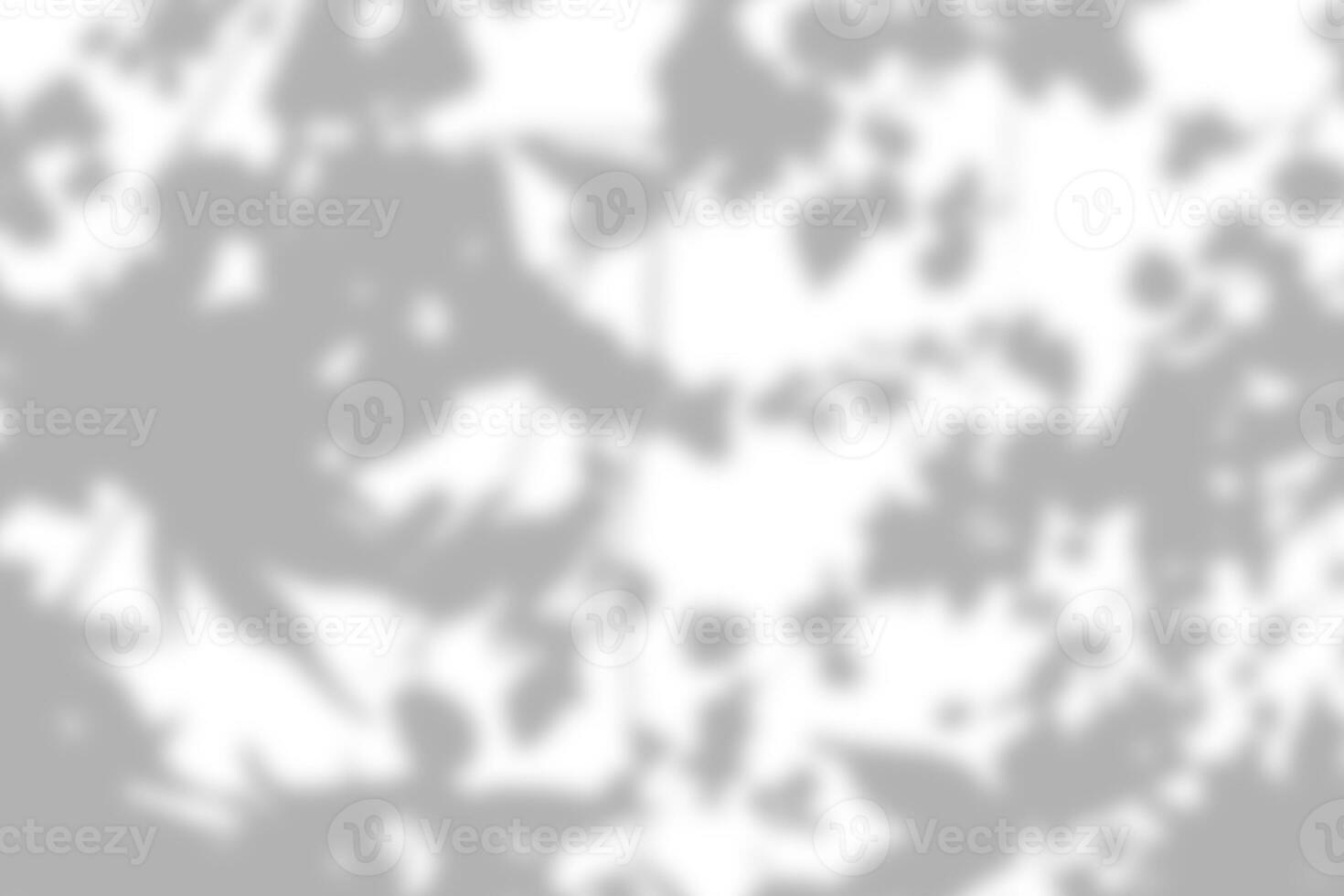 Sunlight shadow on abstract white wall background texture photo