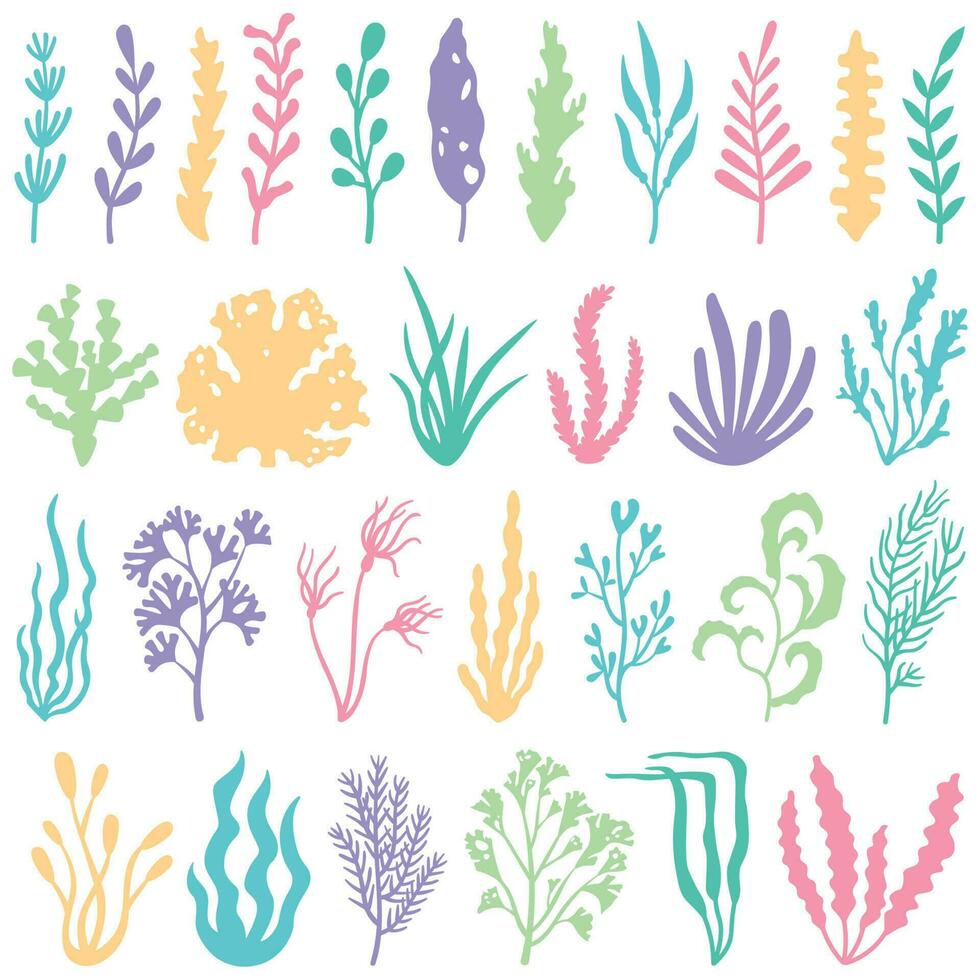 Aquarium seaweed silhouette. Underwater planting plant and seaweeds for aquariums decor. Sea plants vector set