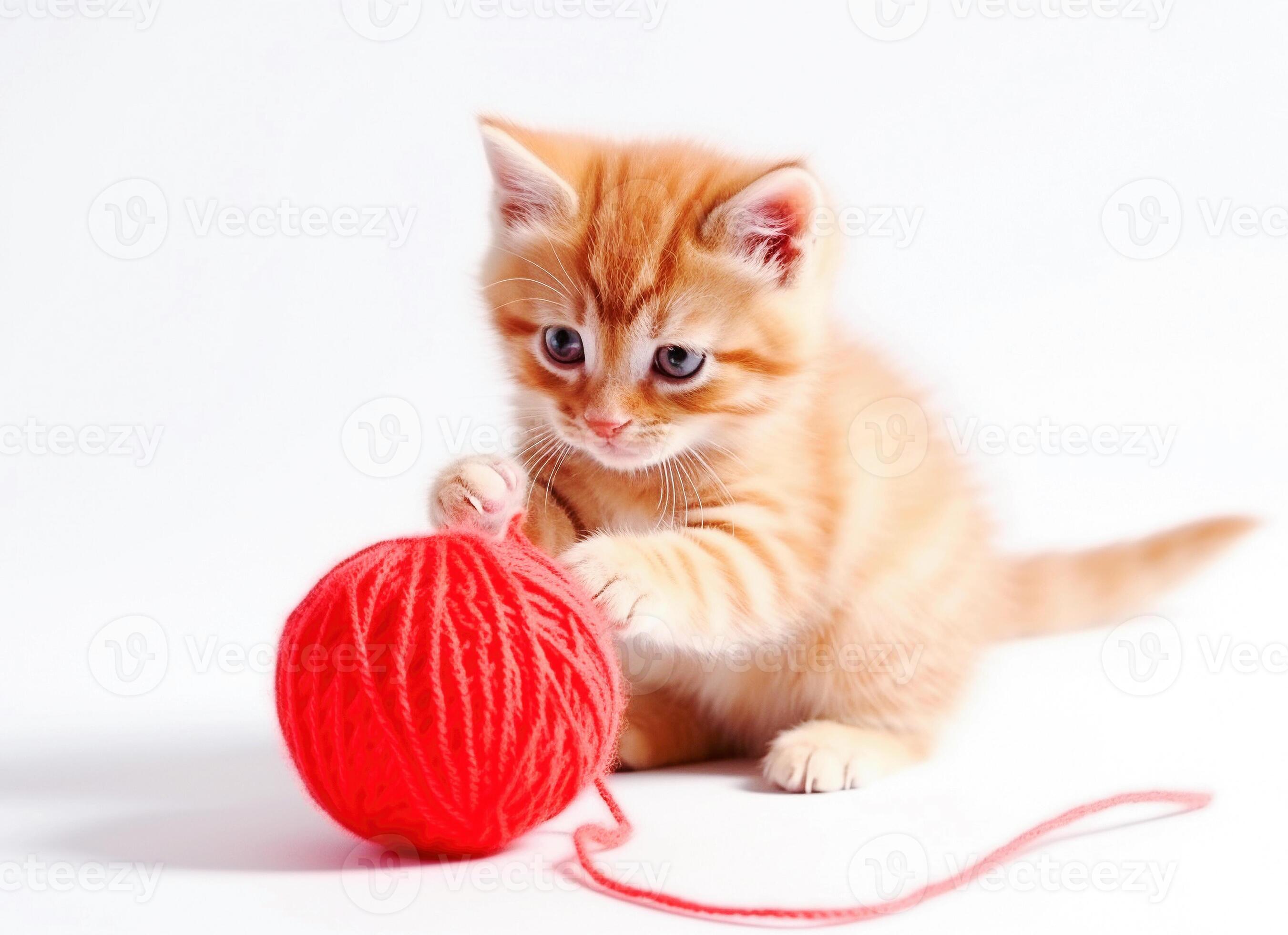 AI generative. Small red kitten is played with a ball of yarn